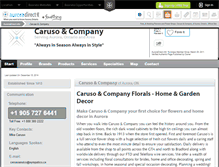 Tablet Screenshot of caruso-company-aurora.auroradirect.info